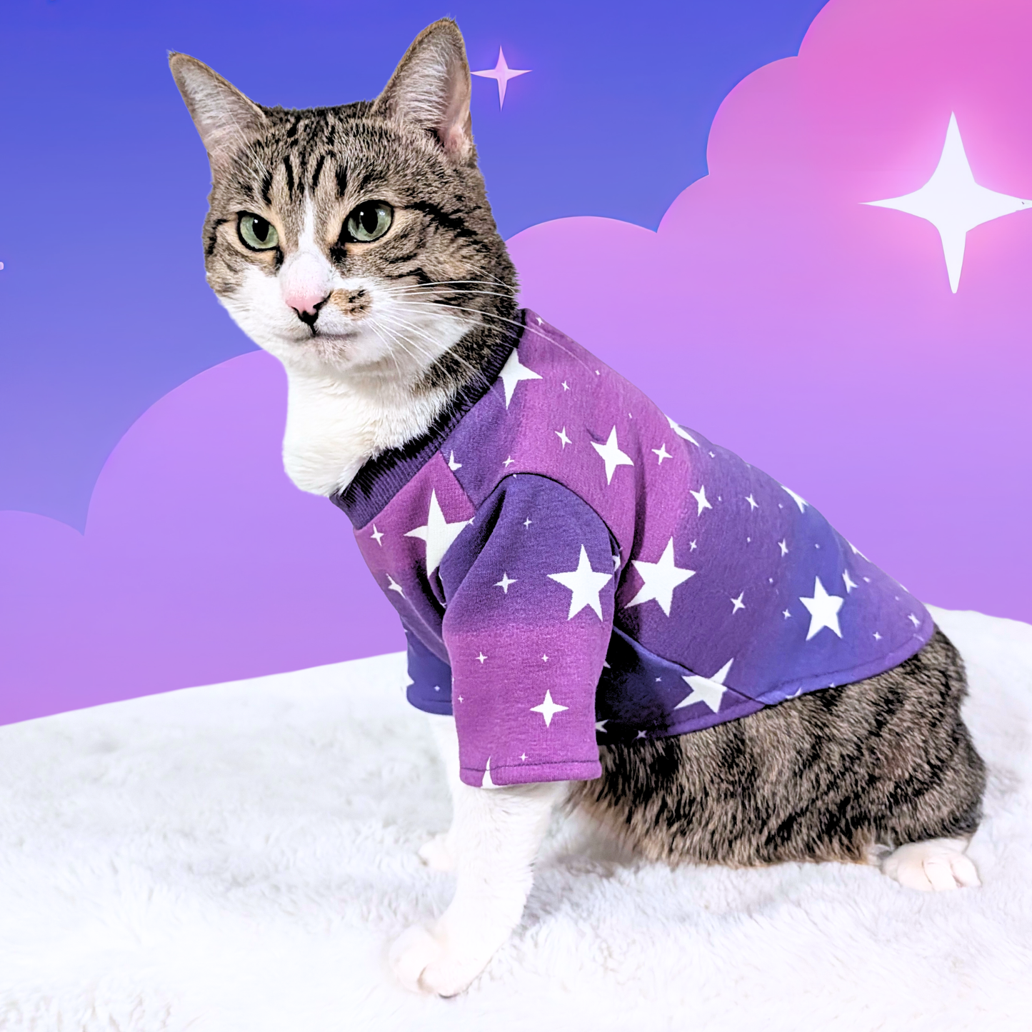 Pawsome Pair Matching Set – Purple Ombre Stars for Cats & Pet Parents