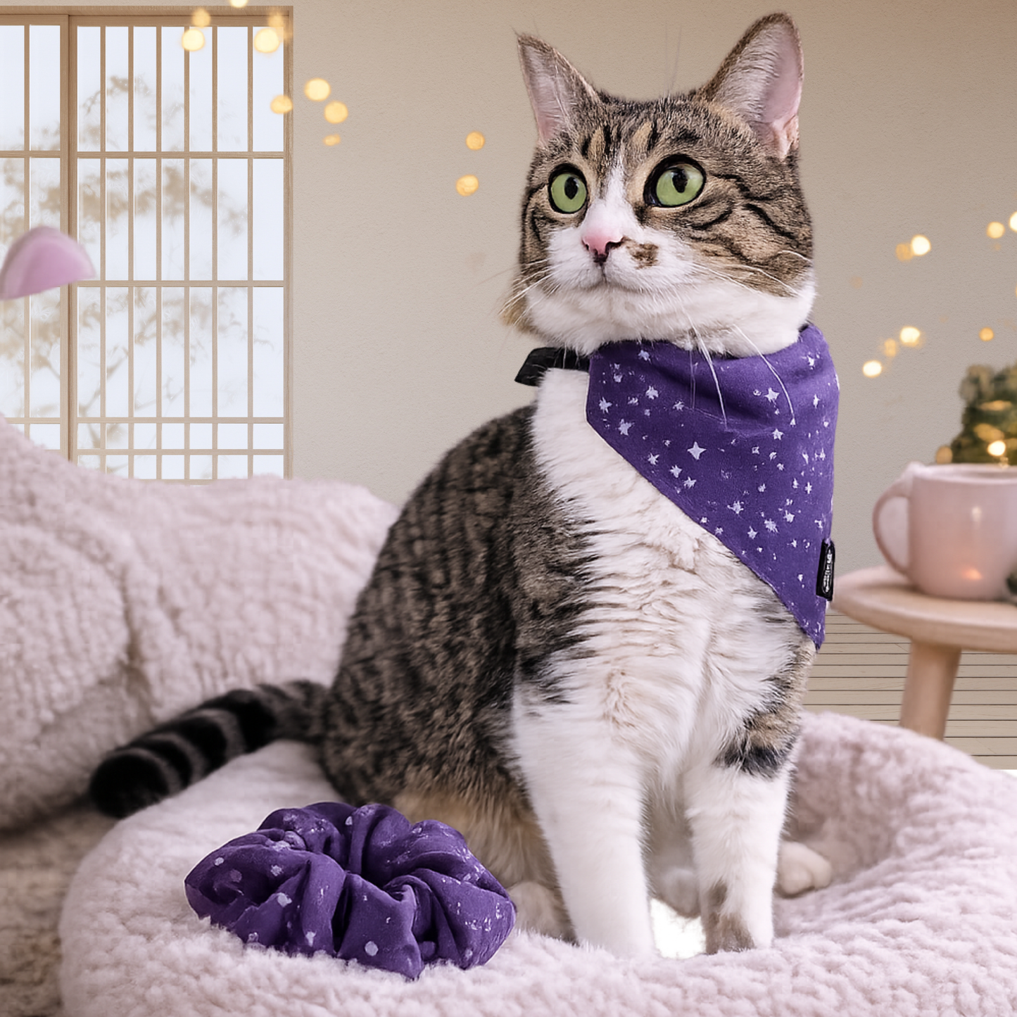 Purple Galaxy Stars Matching Cat Bandana & Scrunchie Set