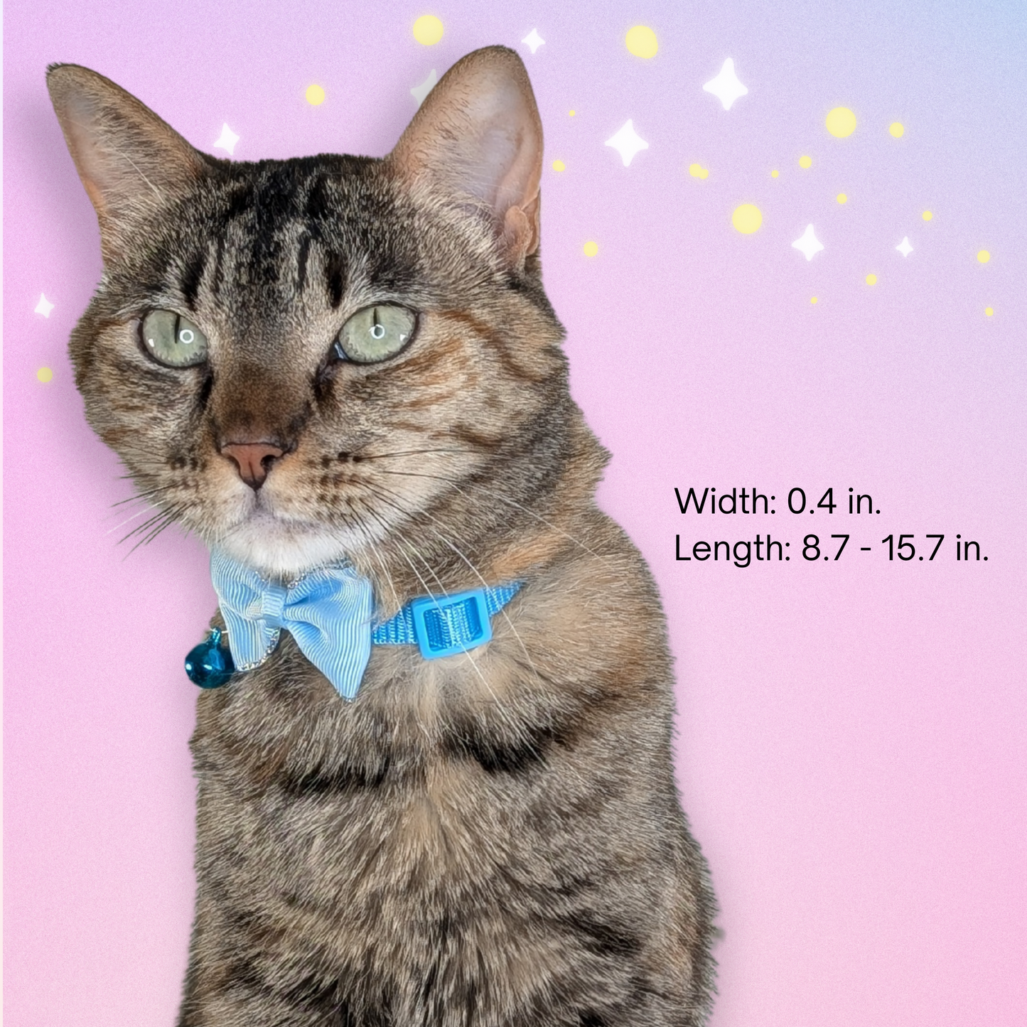 Magical Guardian Cat Bow Collar – Adjustable Fashion Collar with Bell, Cute Anime-Inspired Design (Non-Breakaway)