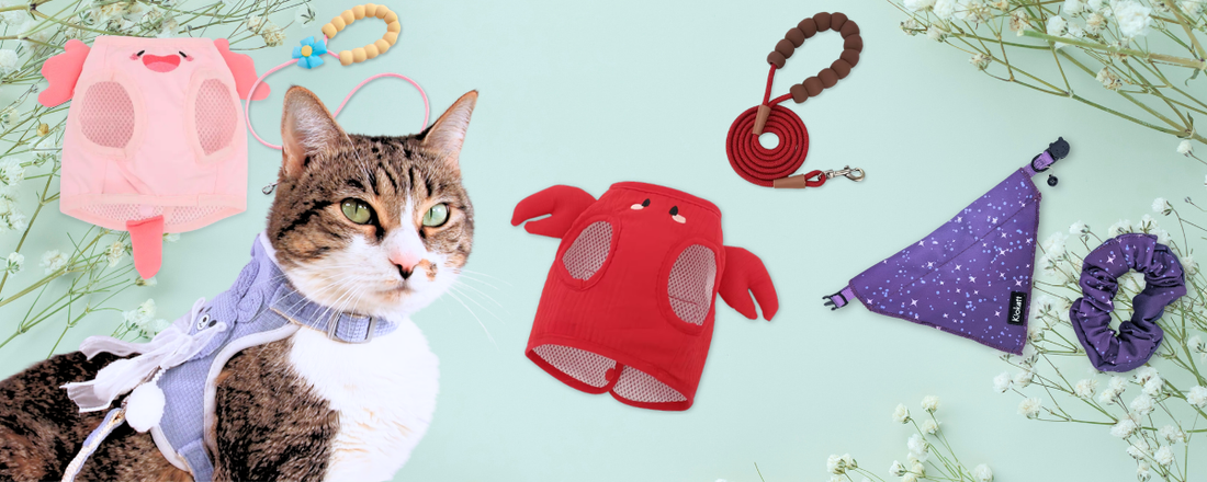 Cat Lover Mother's Day Gift Guide