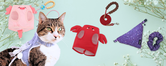 Cat Lover Mother's Day Gift Guide