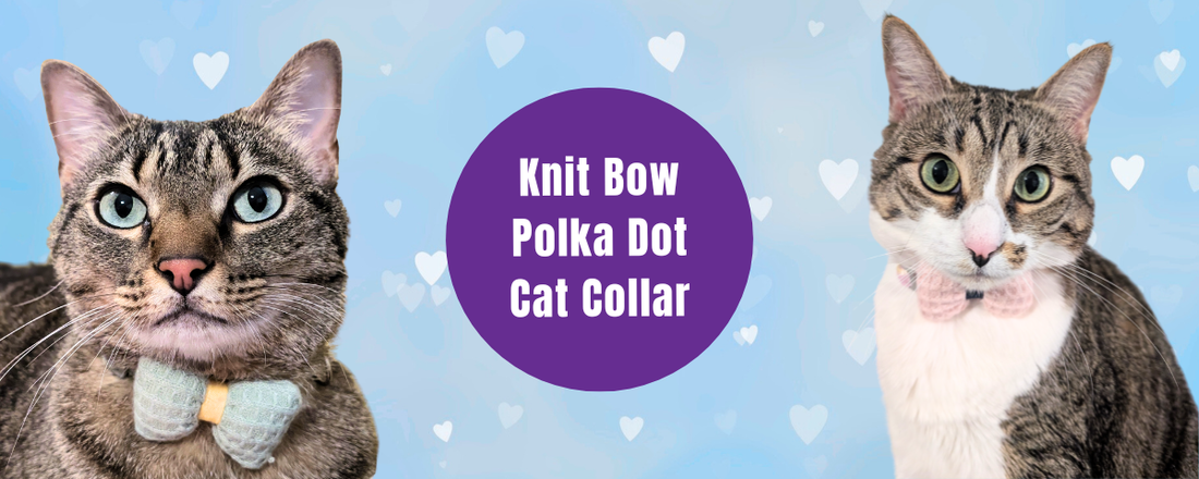 Knit Bow + Polka Dots Cat Collars: Where Comfort Meets a Cohesive Look