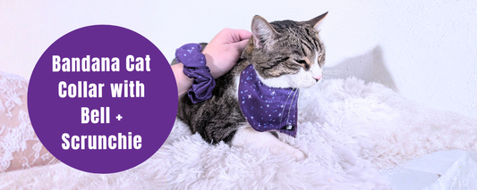 Gifts for Cat Lovers: Pawsome Pair Matching Set