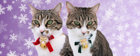 Happy Holidays from Kiokatt 🎄🐾