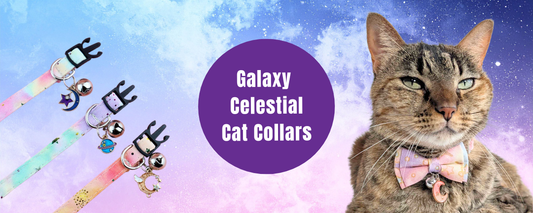 New Addition: Soft Purple Starfall Galaxy Cat Collar