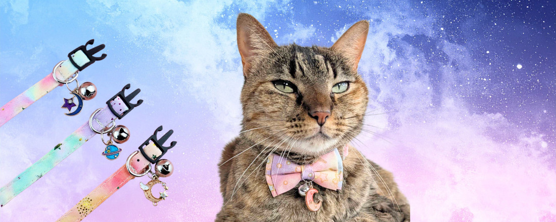 New Addition: Soft Purple Starfall Galaxy Cat Collar