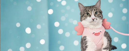 Creatures from Under the Sea — For Your Cat to Walk Over the Land!