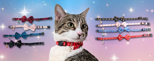 Celestial Style: How the Stars Inspire Our Cat Collars
