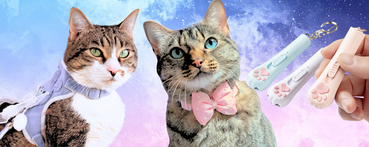 PopCats Austin 2026 Recap: Kiokatt's First Event