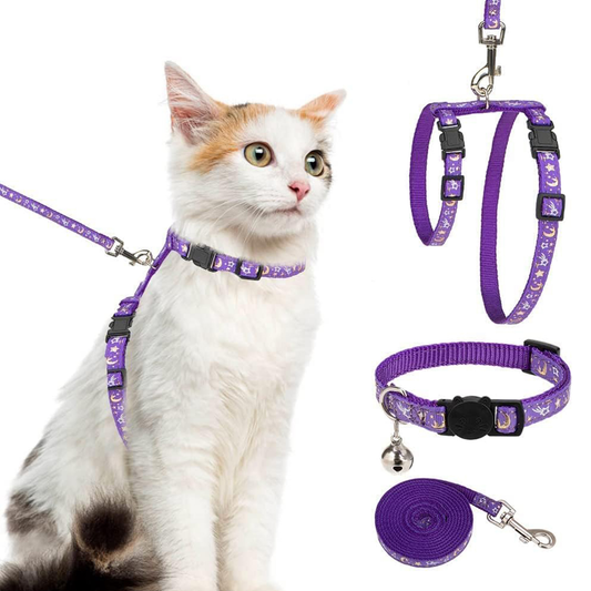 Purple Glow in dark celestial harness