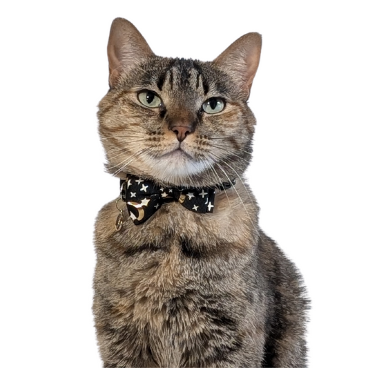 Midnight Moon – Black Celestial Bowtie Cat Collar