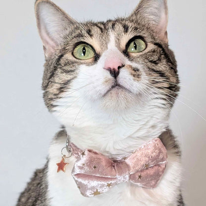 Starlit Blush – Pink Celestial Velvet Bowtie Cat Collar