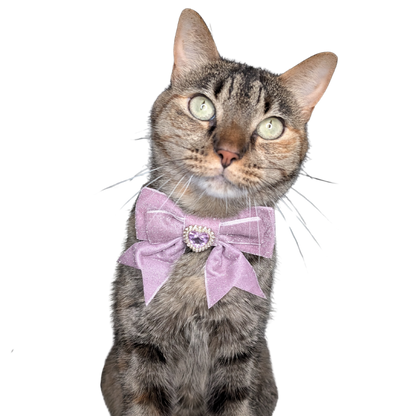 Soft Purple Princess Sparkle Bow Cat Collar