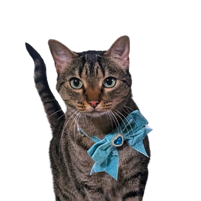 Dreamy Blue Princess Sparkle Bow Cat Collar