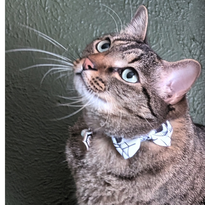 Halloween Cat Bowtie Collars with charms and bells (4 Styles)