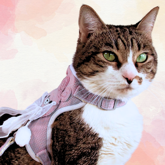 Pink Bunny Bow Harness + Leash Set