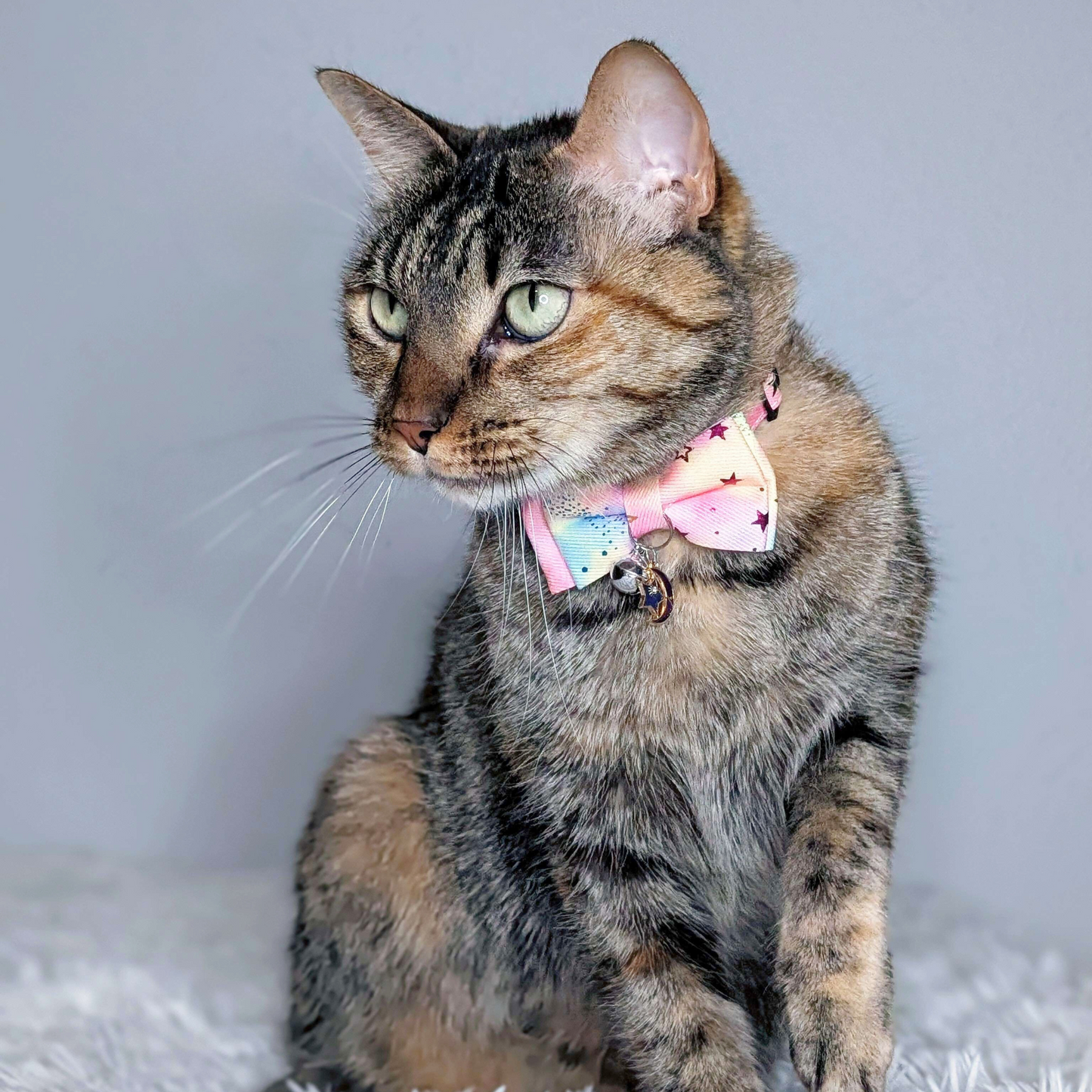 Dreamy Celestial Cat Collar with Bowtie & Bell – Moon & Star Charm (Pink)