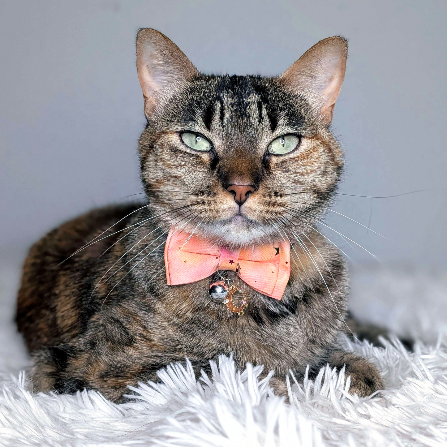 Dreamy Celestial Cat Collar with Bowtie & Bell – Moon & Cloud Charm (Peach)