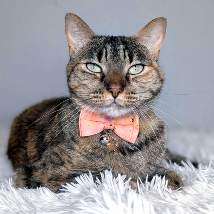 Dreamy Celestial Cat Collar with Bowtie & Bell – Moon & Cloud Charm (Peach)
