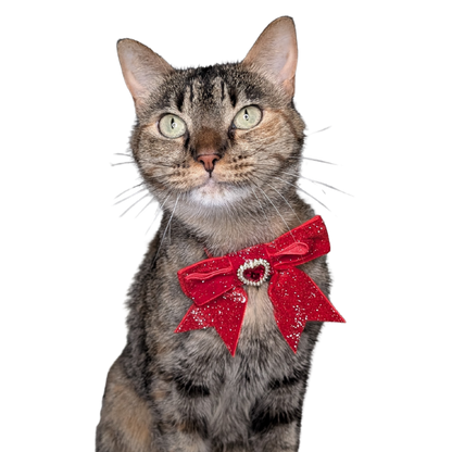 Royal Red Princess Sparkle Bow Cat Collar