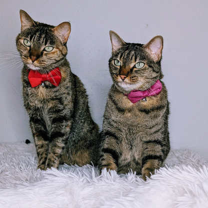 💜 Majestic Plum – Velvet Bowtie + Bell Cat Collar
