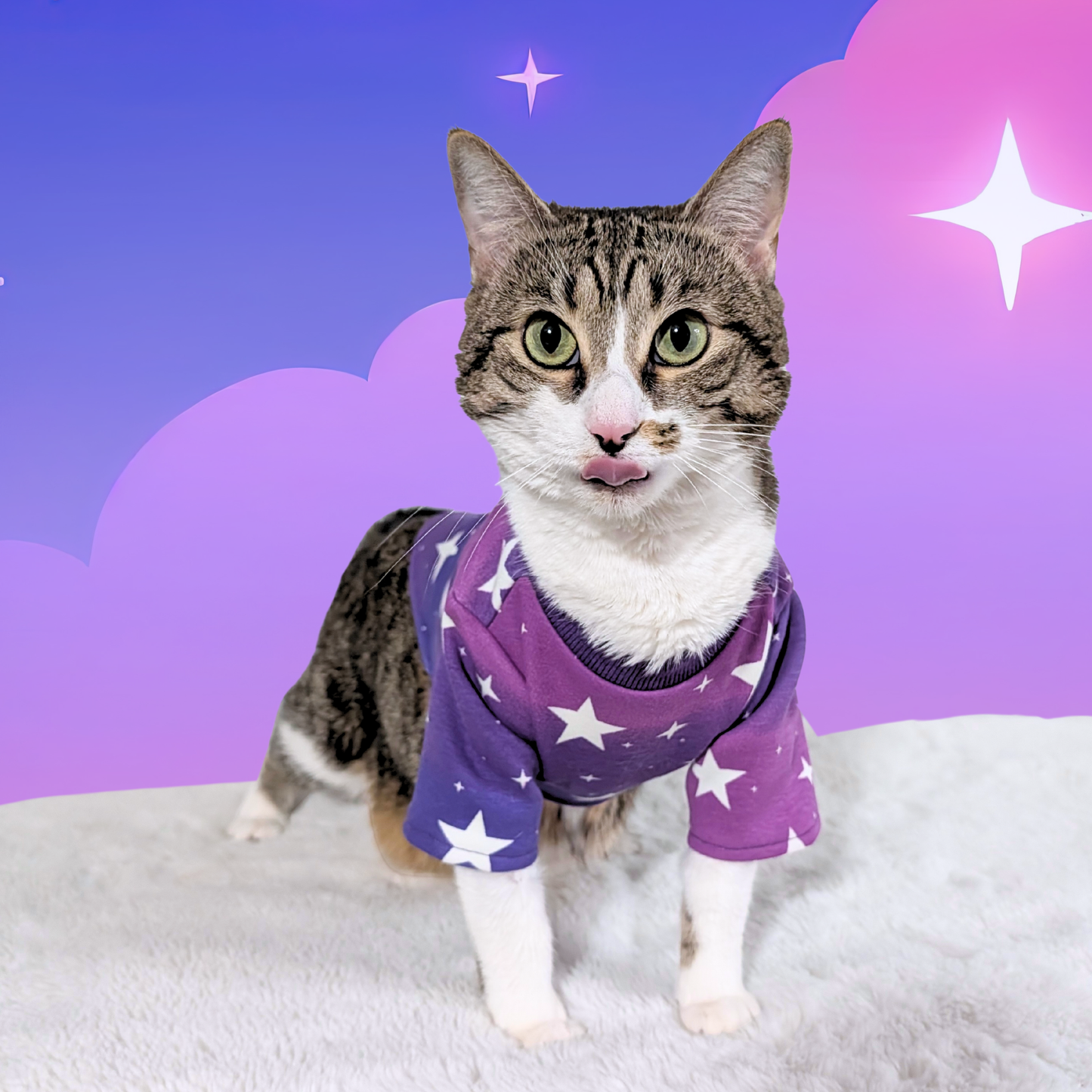 Purple Ombre Cat Shirt with Stars