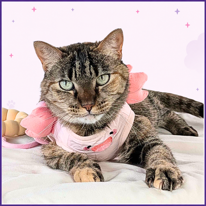 Pink Axolotl Cat Harness + Leash Set