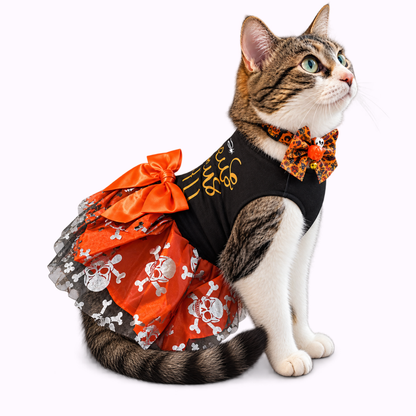 A tabby and white cat wearing a Halloween costume consisting of a black top with yellow text, an orange ruffled skirt with white skull and crossbones, and an orange patterned bow tie with a small orange ball accent, photographed on a white background.