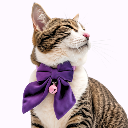 Purple Velvet Sailor Bow Cat Collar with Pink Bell