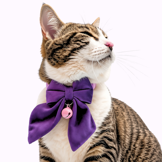 Purple Velvet Sailor Bow Cat Collar with Pink Bell
