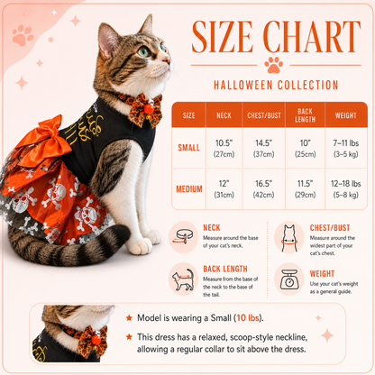 A size chart graphic for the Halloween Collection pet dress, featuring a tabby cat wearing a black and orange dress with a pumpkin pattern. The chart includes a size table for Small and Medium sizes with neck, chest/bust, back length, and weight measurements, along with measurement guides and a small inset photo showing the dress on a cat.