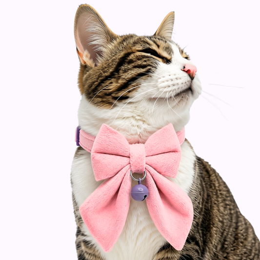 Pink Velvet Sailor Bow Cat Collar with Purple Bell