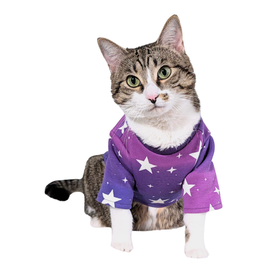 Purple Ombre Cat Shirt with Stars