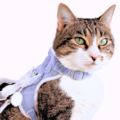Blue Bunny Bow Harness + Leash Set