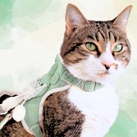Green Bunny Bow Harness + Leash Set