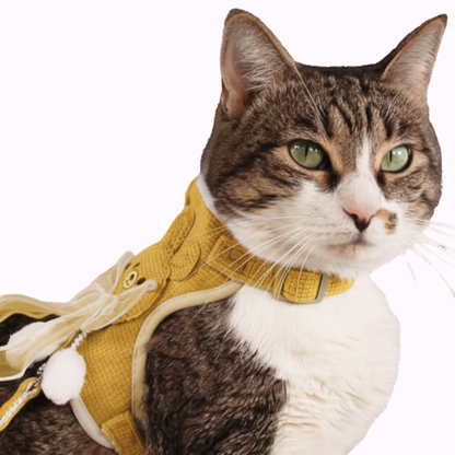 Yellow Bunny Bow Harness + Leash Set