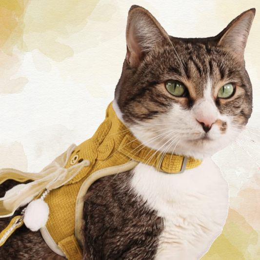 Yellow Bunny Bow Harness + Leash Set