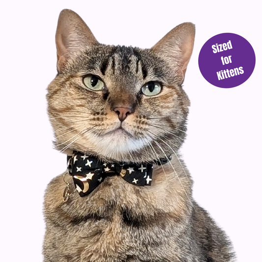Black Celestial Bowtie Kitten Collar (Small Size)