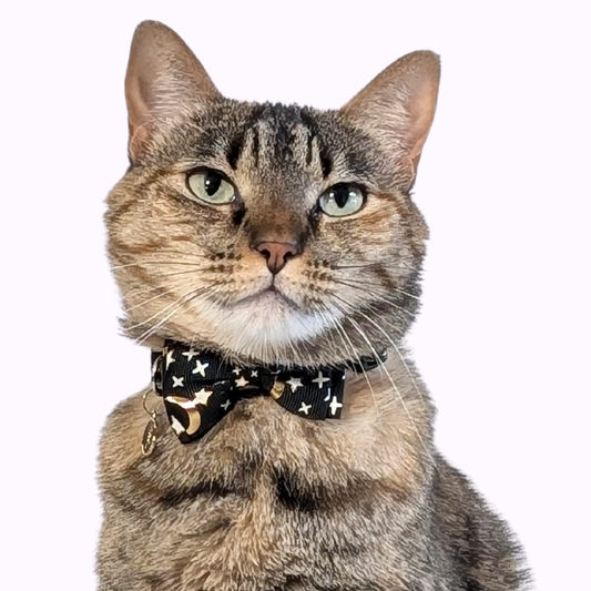 Black Celestial Bowtie Cat Collar (Adult Size)