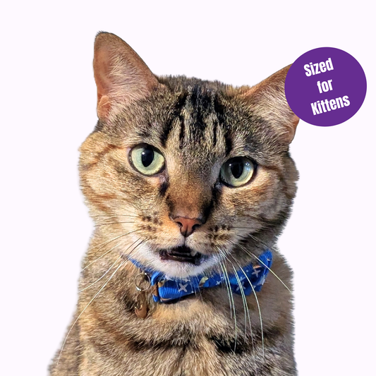 Blue Celestial Bowtie Kitten Collar (Small Size)