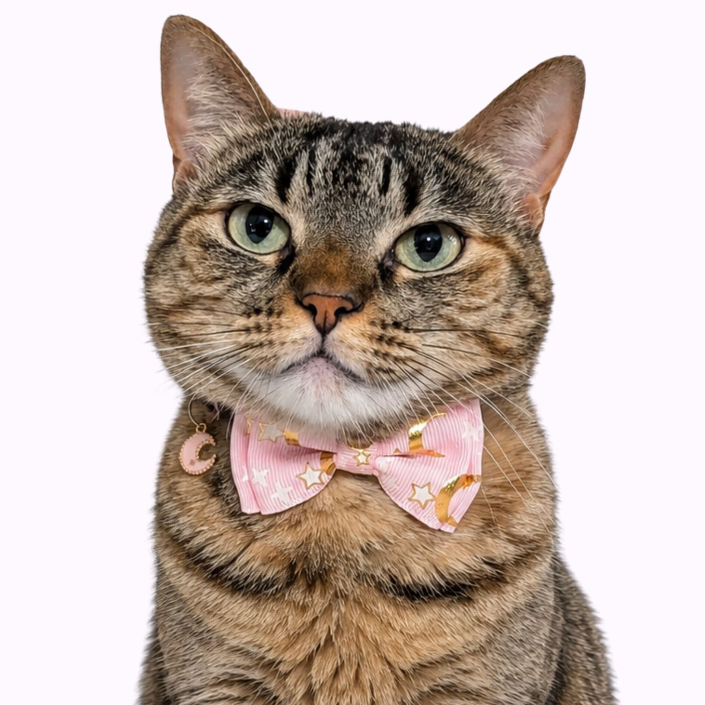 Pink Celestial Bowtie Cat Collar (Adult Size) - Kiokatt