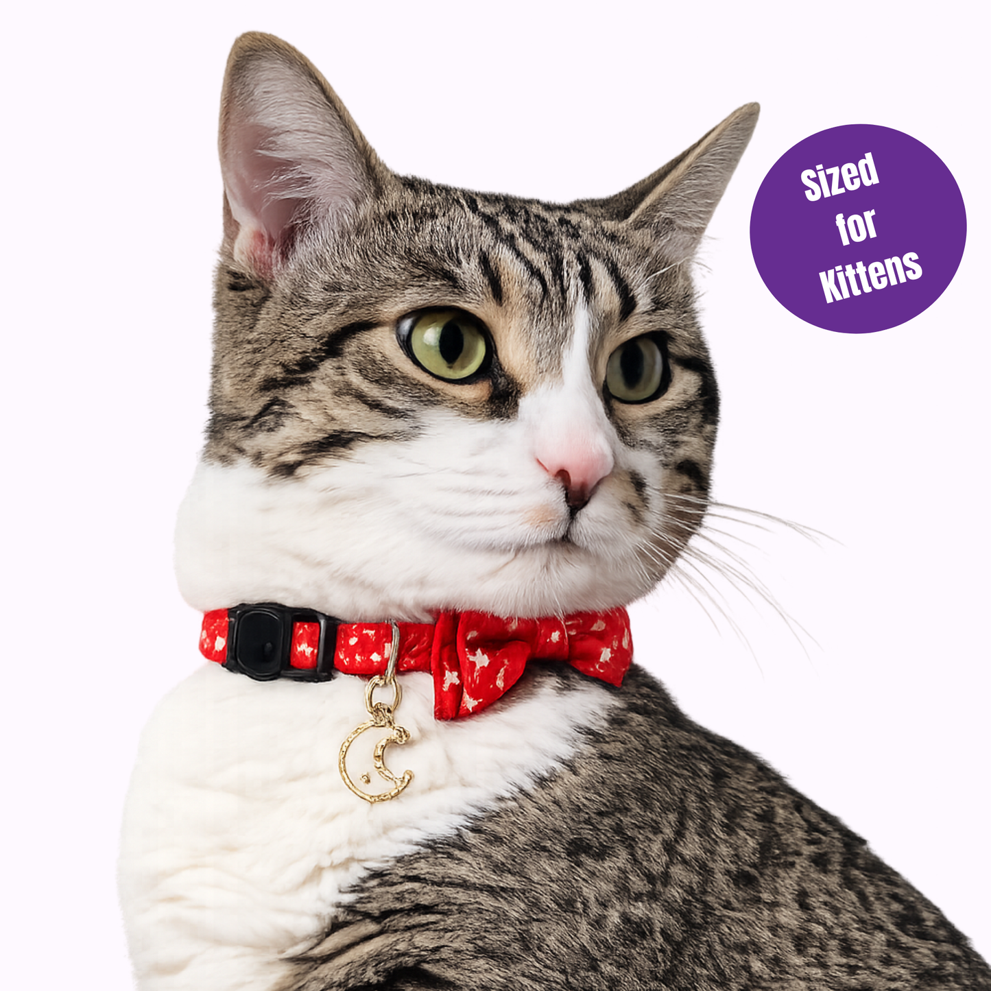 Red Celestial Bowtie Kitten Collar (Small Size)