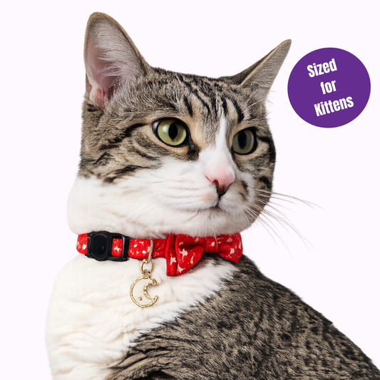 Red Celestial Bowtie Kitten Collar (Small Size)