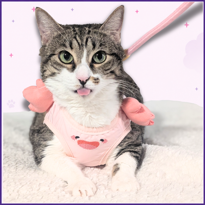 Pink Axolotl Cat Harness + Leash Set