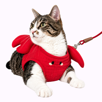 Red Crab Cat Harness + Leash Set