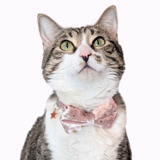 Pink Celestial Velvet Bowtie Cat Collar