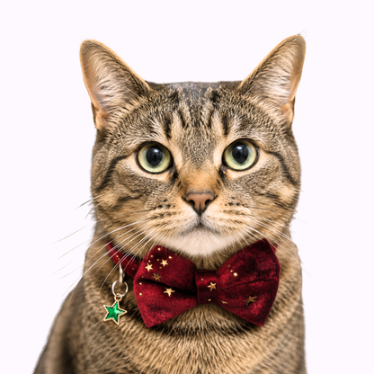 Red Celestial Velvet Bowtie Cat Collar