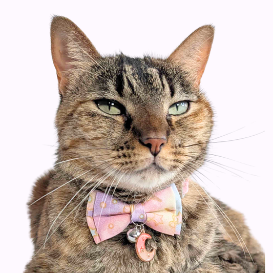 Purple Galaxy Bowtie Cat Collar