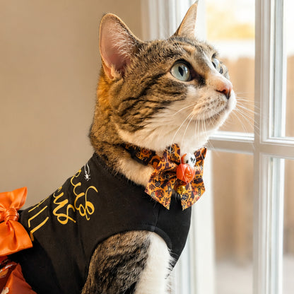 Halloween Bow Cat Collar with Charm & Bell (6 Styles)