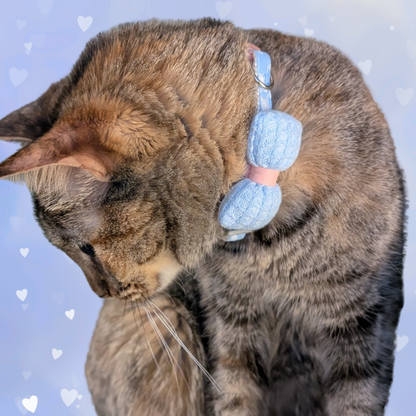 Blue Knit Bow + Dotted Cat Collar